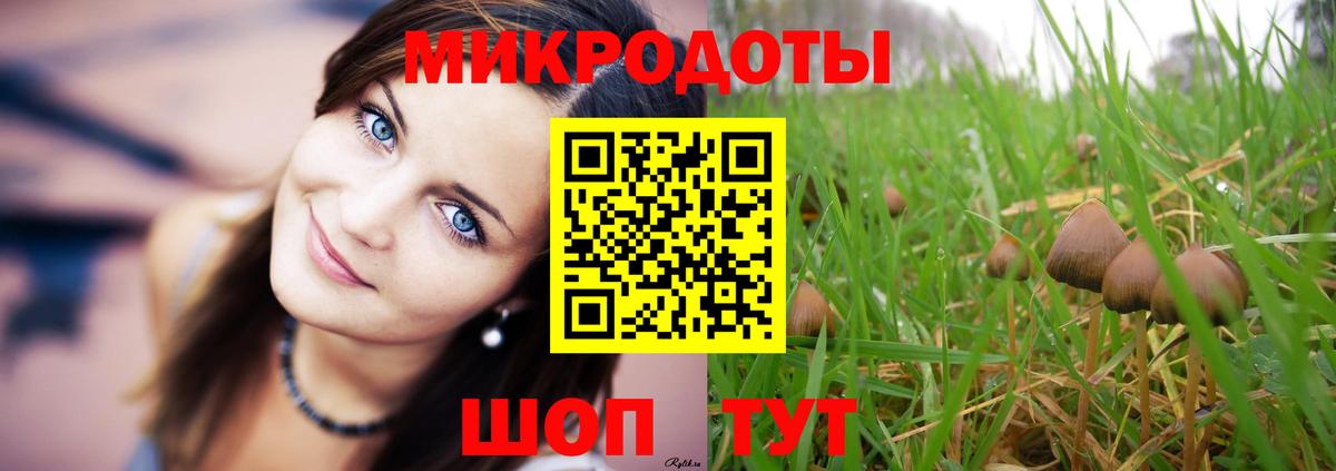 Псилоцибиновые грибы Magic Shrooms  Вход с VPN  Павлово 